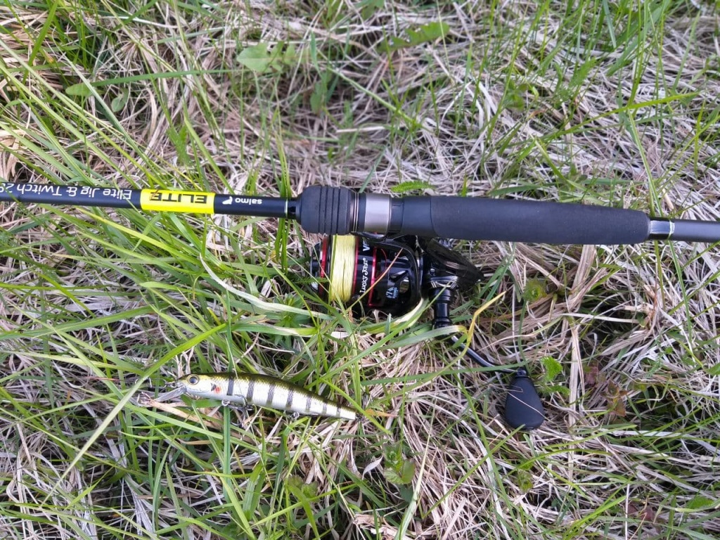 Salmo Elite JIG N TWITCH 28 2.23 (5).jpg